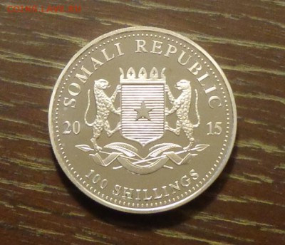 СОМАЛИ - ДВА СЛОНА 2015 унцовка до 22.09, 22.00 - Сомали 2 слона-1.JPG