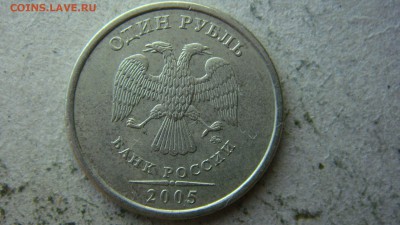 Вопросы по разновиднстям от сахарок - DSC00938.JPG