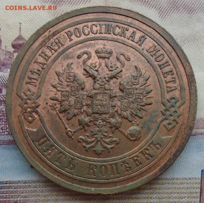 5 копеек 1911 г Aunc Cu до 22.09.17 22.00 мск - DSC08533.JPG