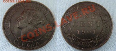 Канада -- 1 цент 1901 -- до 10.03.2011 в 22.00 в М - 1цКан1901