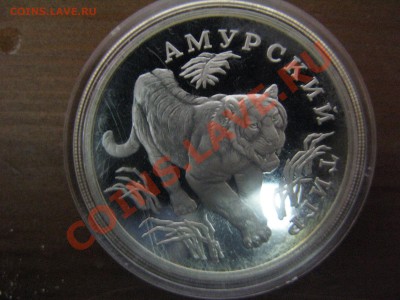 Продам серебряные монеты - 111IMG_7435