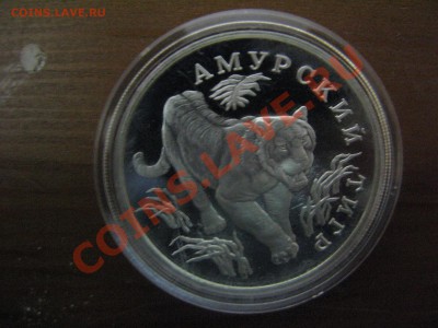 Продам серебряные монеты - 111IMG_7436