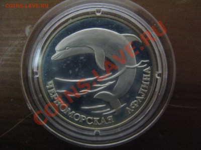 Продам серебряные монеты - 111IMG_7437