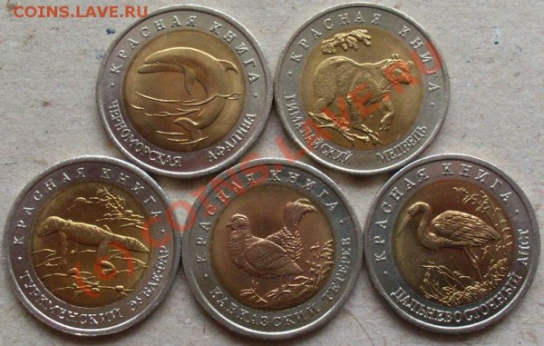КРАСНАЯ КНИГА 1993 до 27,03 22-00 МСК - SL381296.JPG
