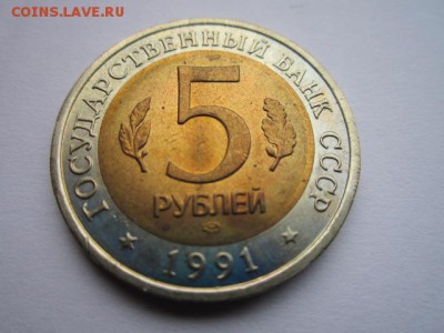 КК 91 ФИЛИН до 24.09.2017 в 22:30 - IMG_6082.JPG