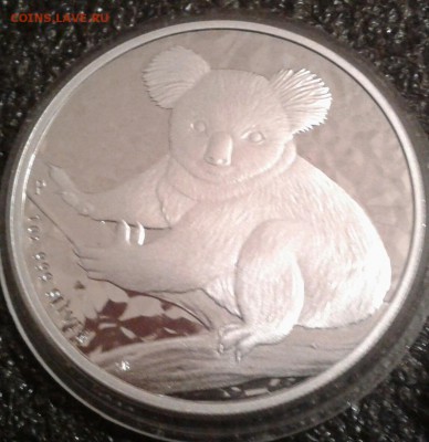 Коала Австралия 1 доллар 2009г. до 24.9 в 22.00 - 20170920_002524-1