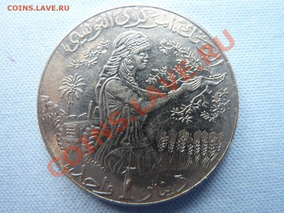 Подарок одному счастливчику. - MEMO0005.JPG
