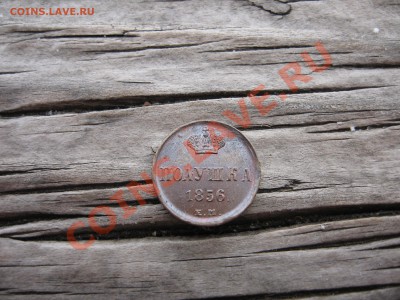 Полушка 1856 год до  9.03.2011 в 20-00+10 мин. - IMG_2842