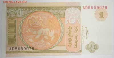 С 1 рубля 1 тугрик 2008 г., Монголия, пресс, до 24.09.17г. - Монголия 1 тугрик-1.JPG