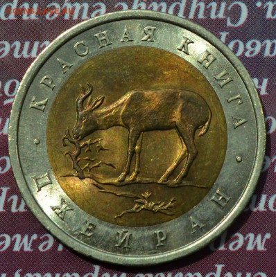 КК 1994 ДЖЕЙРАН  до 25.09 в 22:15 - джейран а
