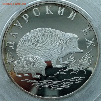 1 рубль 1999 Даурский еж - 3