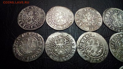 Погодовка Сигизмунда Старого с 1509-23 год. - P_20170921_184624