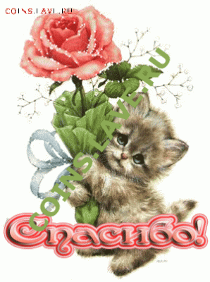 Дамам от NAGANA:). - 827778024