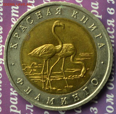 КК 1994 ФЛАМИНГО  до 25.09 в 22:15 - фламинго а