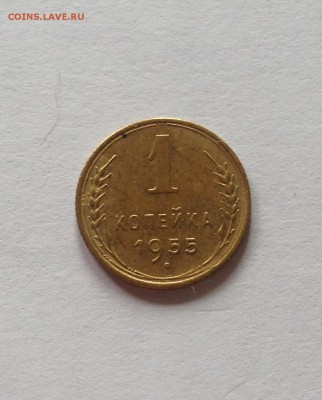 1 копейка 1955г. , до 28.09.17г. - 155