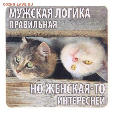 веселые картинки - 49d9c6a61d614844da1a7a7f097c2b33