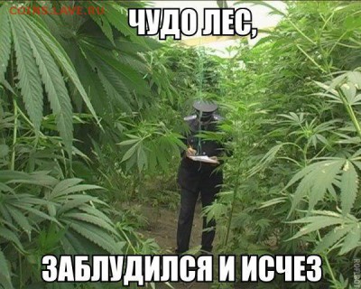 веселые картинки - PLUacBkntHI