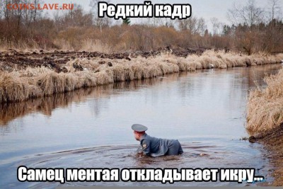 веселые картинки - hCpfxs9puVY