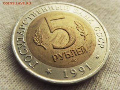 Красная Книга- Козел 1991 до 30.09.17 г. - SDC15739.JPG