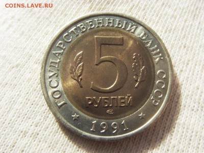 Красная Книга- Филин 1991 до 30.09.17 г. - SDC15733.JPG