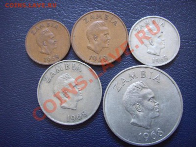 Замбия 5 монет 1968 Звери,Птицы и Цветы  до 10.03 в 21.00М - LPIC7066.JPG