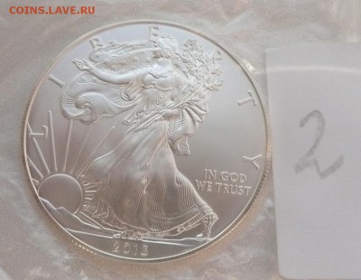 1 доллар 2013 УНЦИЯ шагающая свобода США Ag (№2) - 1500 - 1.JPG