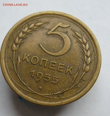 5 копеек 1955 до 26.09 в 22-00 - P1040220.JPG