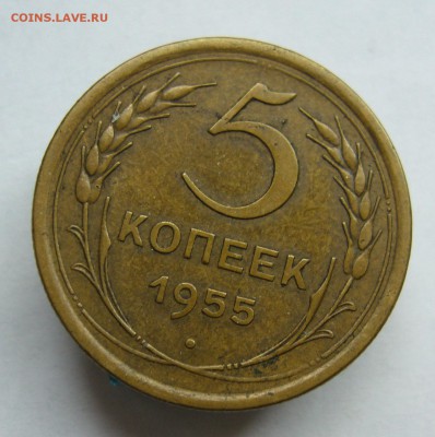 5 копеек 1955 до 26.09 в 22-00 - P1040218.JPG