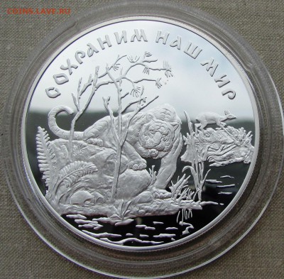 25 рублей 1996 года. Амурский тигр. Ag. До 29.09.17 22-00 - IMG_8885.JPG