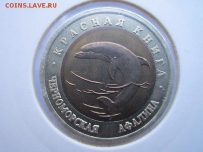 КК 93 АФАЛИНА до 01.10.2017 в 22:30 - IMG_6276.JPG