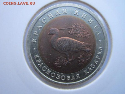 КК 92 КАЗАРКА до 01.10.2017 в 22:30 - IMG_6272.JPG