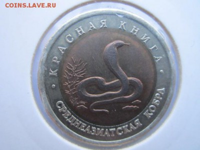 КК 92 КОБРА до 01.10.2017 в 22:30 - IMG_6274.JPG