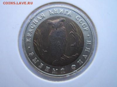 КК 91 ФИЛИН до 01.10.2017 в 22:30 - IMG_6268.JPG