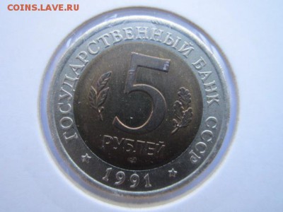 КК 91 КОЗЁЛ до 01.10.2017 в 22:30 - IMG_6267.JPG