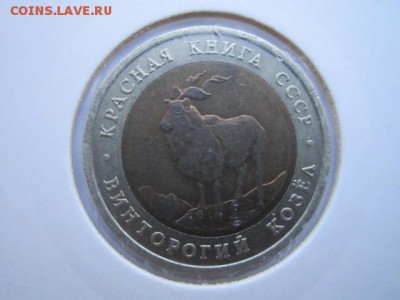 КК 91 КОЗЁЛ до 01.10.2017 в 22:30 - IMG_6266.JPG