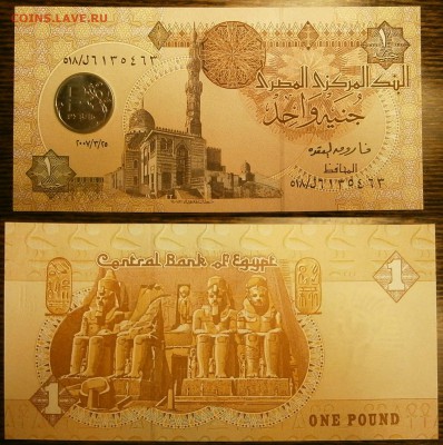 Египет 1фунт 2007 UNC с рубля! до 1.10 - P9251824.JPG
