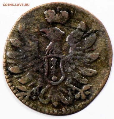 Браденбург-Пруссия, 6 пфеннигов 1695 BH. C 2000. До 26.09 - 009