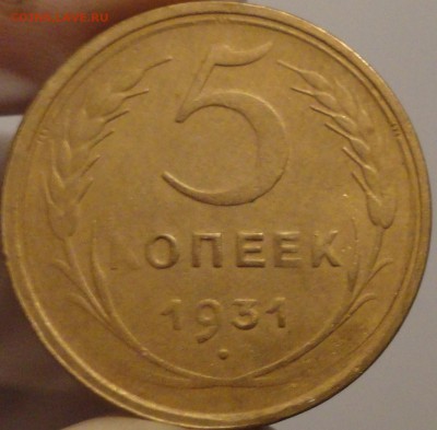 5 копеек 1931 г., до 21:40 мск 30.09.2017 г. - 5-31-1.JPG