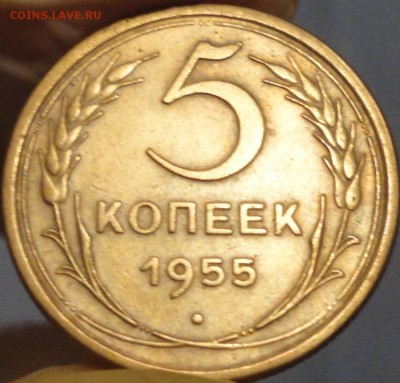 5 копеек 1955 г., XF, до 21:50 мск 30.09.2017 г. - 5-55-2.JPG