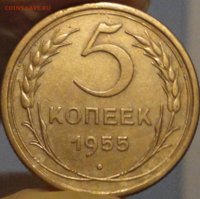 5 копеек 1955 г., XF, до 21:50 мск 30.09.2017 г. - 5-55-1.JPG