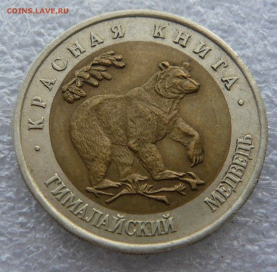КК 50 руб.1993 года."Гималайский медведь"До 28.09. в 18:00 - P1100689.JPG