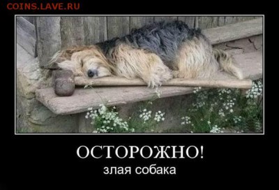 веселые картинки - demot0218