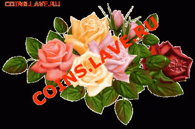 Мисс форума.  К 8 марта - 0_dd57_33d066da_L