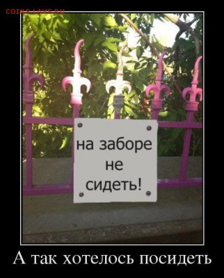 веселые картинки - 91528946