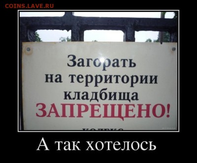 веселые картинки - 84219512