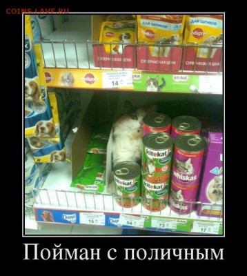веселые картинки - 84443060