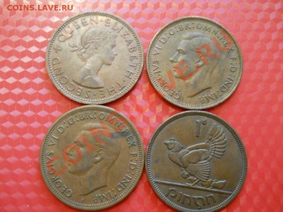 Монеты с животными и птицами ЛОТ №1 до 12.03.2010 21-00 Мск - DSCN1628.JPG