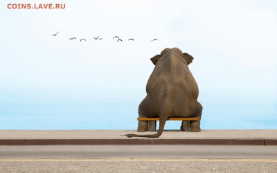 рубль 1724,ПЁТР1,АУ - An-elephant-sits-on-a-bench-in-deep-contemplation-4k-dual-screen-wallpaper[1]