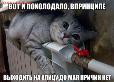 перекличка городов по температуре - -m4IABw7aU0