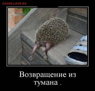 юмор - 1502337175_demotivp
